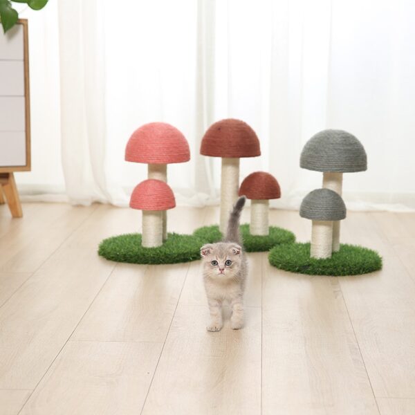 Cat climbing mushroom