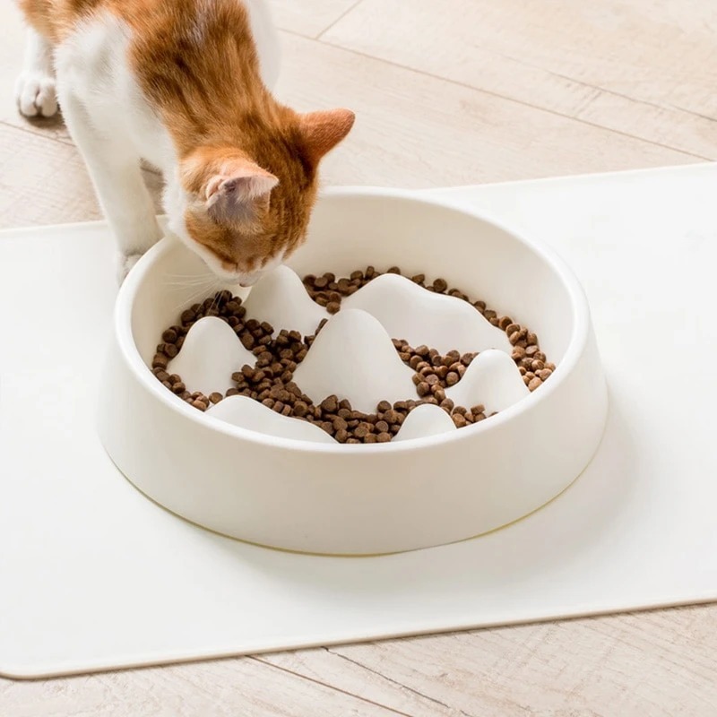 slow feeder cat bowl wet food