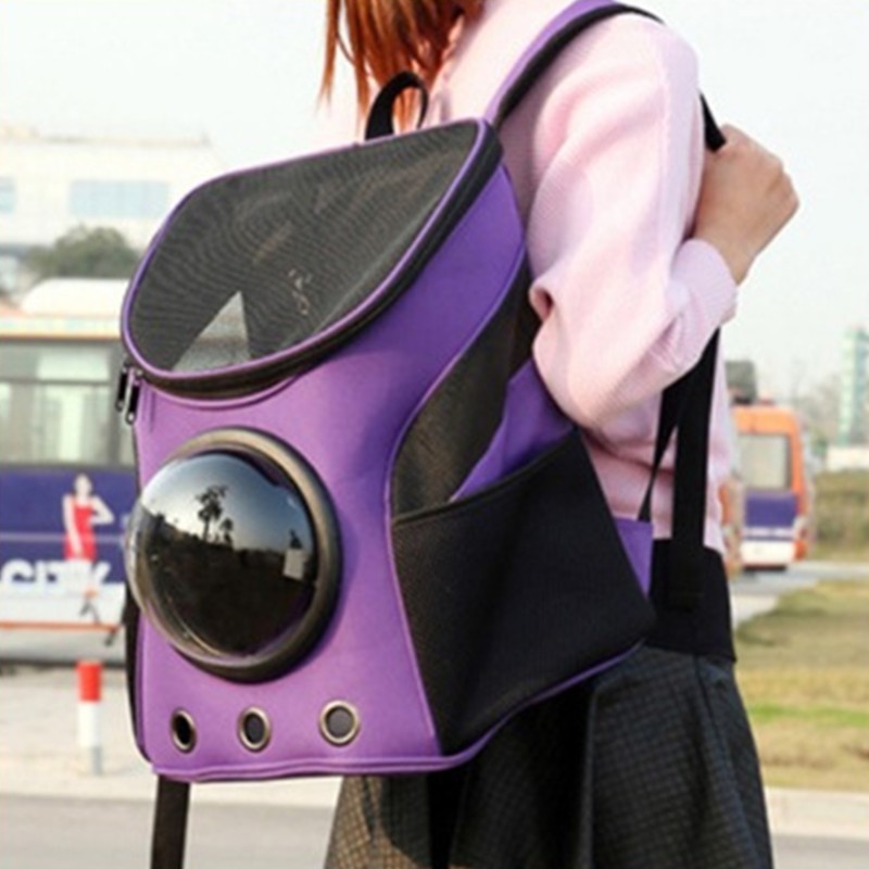 cat rocket backpack